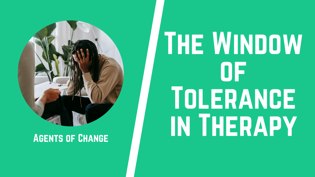 The Window of Tolerance in Therapy The Window of Tolerance in Therapy